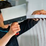 cacao de donde viene