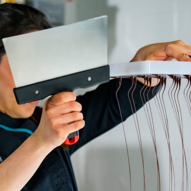 cacao de donde viene