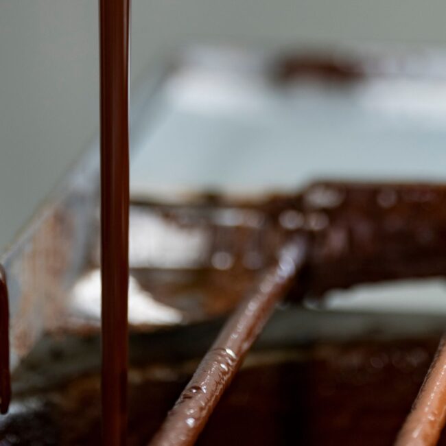 de donde es el cacao