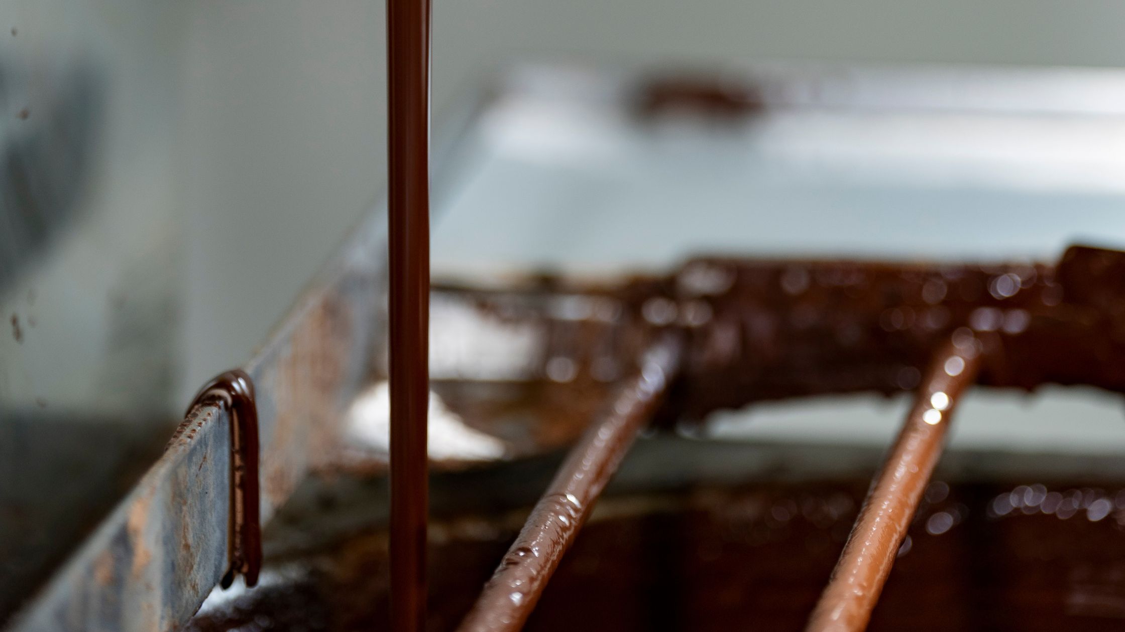 de donde es el cacao