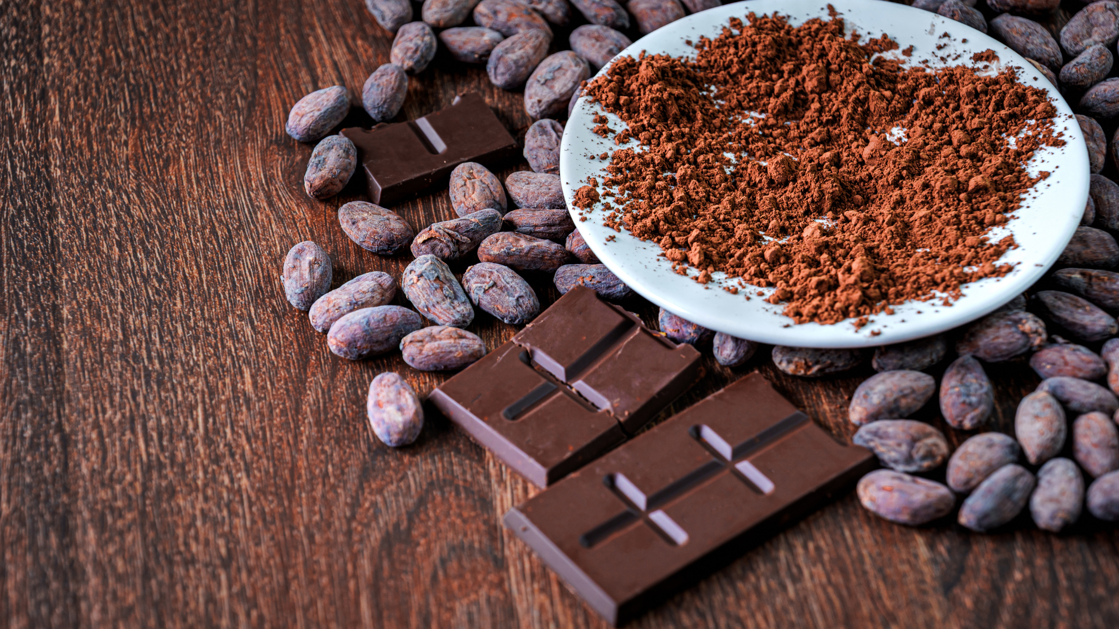 Chocolates artesanal